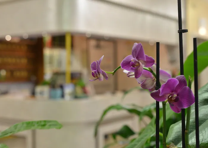 Marselli 3* Ρίμινι