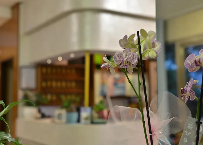 Marselli רימיני